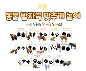 동물 발자국 맞추기 놀이