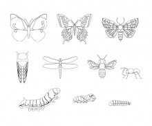 곤충 색칠 모음