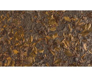 숲속 바닥 배경