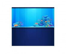 어항(물고기 없는)