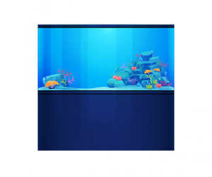 어항(물고기 없는)