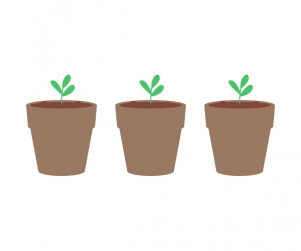 [개별도안] 관찰해 보아요 화분 가랜드