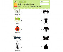 곤충 그림자를 찾아요