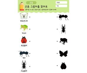 곤충 그림자를 찾아요