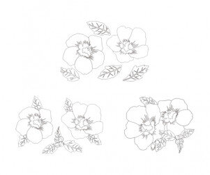 무궁화 색칠 모음