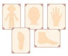 한의원 혈자리 포스터