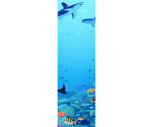 아쿠아리움 배너 (문구없음)