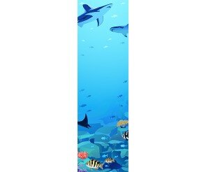 아쿠아리움 배너 (문구없음)