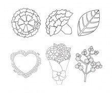 카네이션, 안개꽃 색칠 모음