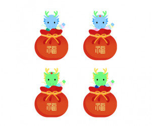 복주머니 속 청룡(한복)