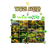 개구리 사진관