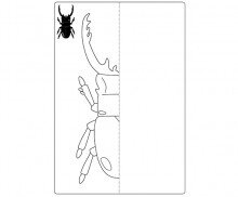 사슴벌레 대칭 그리기