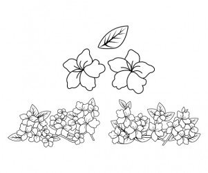 진달래 색칠 모음