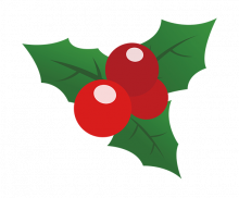 호랑가시나무 열매