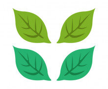 잎사귀