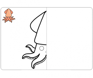 거울 대칭 그리기