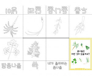 봄나물은 어떤 것이 있을까요 사전