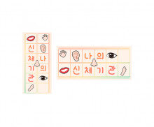 나의 신체기관 원고지 레터링