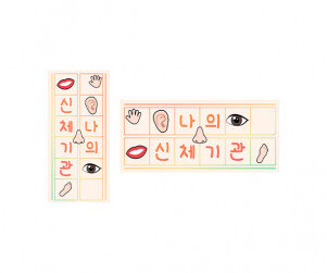 나의 신체기관 원고지 레터링