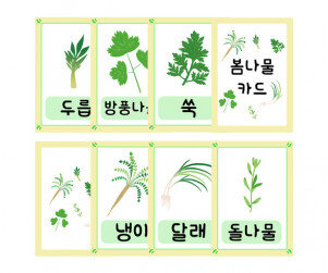 봄나물 카드