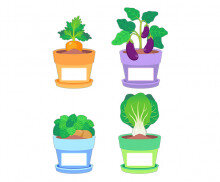 텃밭 작물 화분 이름표(가지,감자,당근,청경채)