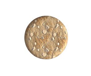 화이트초코쿠키