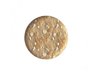 화이트초코쿠키