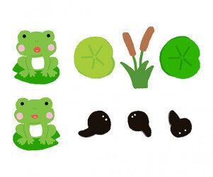 개구리,올챙이,연잎