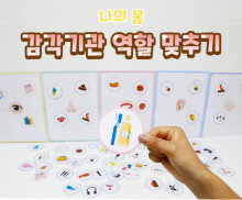 감각기관 역할 맞추기