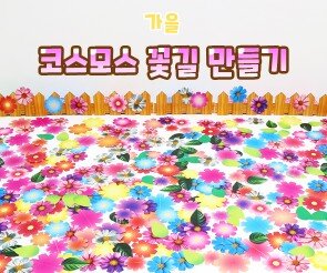 코스모스 꽃길 만들기