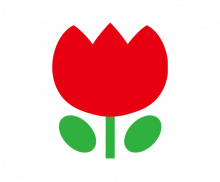 튤립