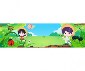 즐거운 곤충 채집 가로 배너(문구없음)