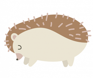 겨울잠 자는 고슴도치