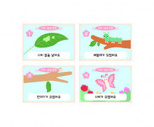 나비 성장과정 순서도