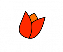 튤립
