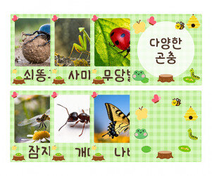 다양한 곤충 카드