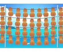 문어 덕장 배경