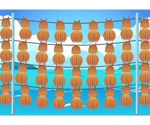 문어 덕장 배경