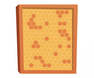 벌집 틀