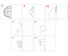 나의 몸속 기관 반쪽 그리기