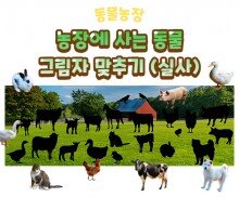 농장에 사는 동물 그림자 맞추기(실사)