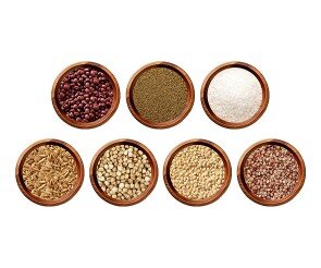 가을 곡물(팥,보리,수수,차조,쌀,귀리,병아리콩)