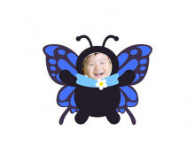 나비 합성이미지