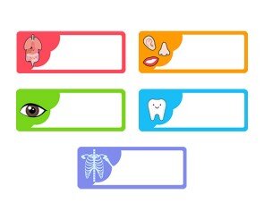 병원 간판 만들기(문구없음)