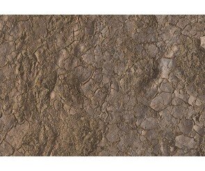 갈라진 흙 배경