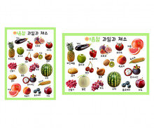 여름철 과일과 채소