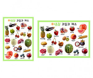 여름철 과일과 채소