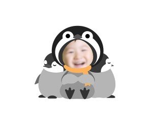 아기펭귄 합성이미지 