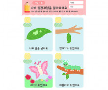 나비 성장과정을 알아봐요