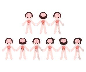 사람 몸속 기관(전신)